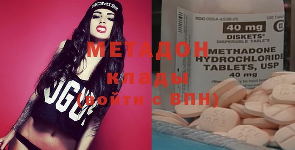индика Арсеньев