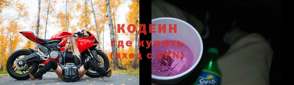 индика Арсеньев