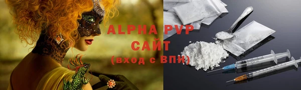 индика Арсеньев