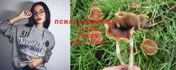круглые Алексин
