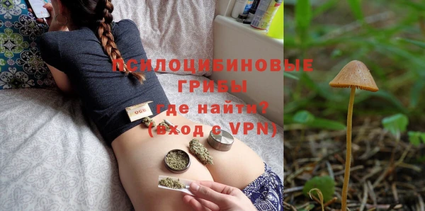 эйфоретик Аркадак