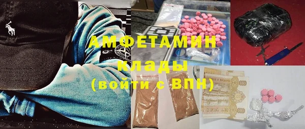 индика Арсеньев