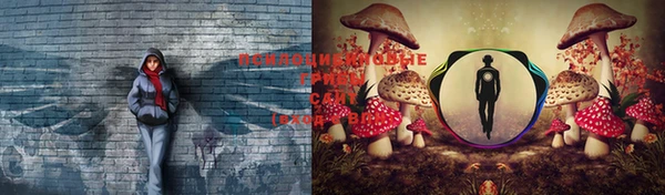 эйфоретик Аркадак
