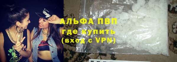 индика Арсеньев