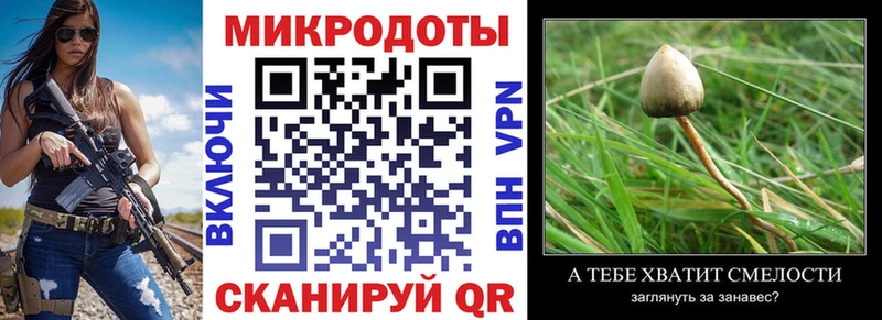 Псилоцибиновые грибы Cubensis  нарко площадка какой сайт  Майкоп  наркота 